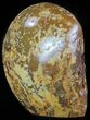 Polished Brazilian Agate Standup - Druzy Quartz #61940-1